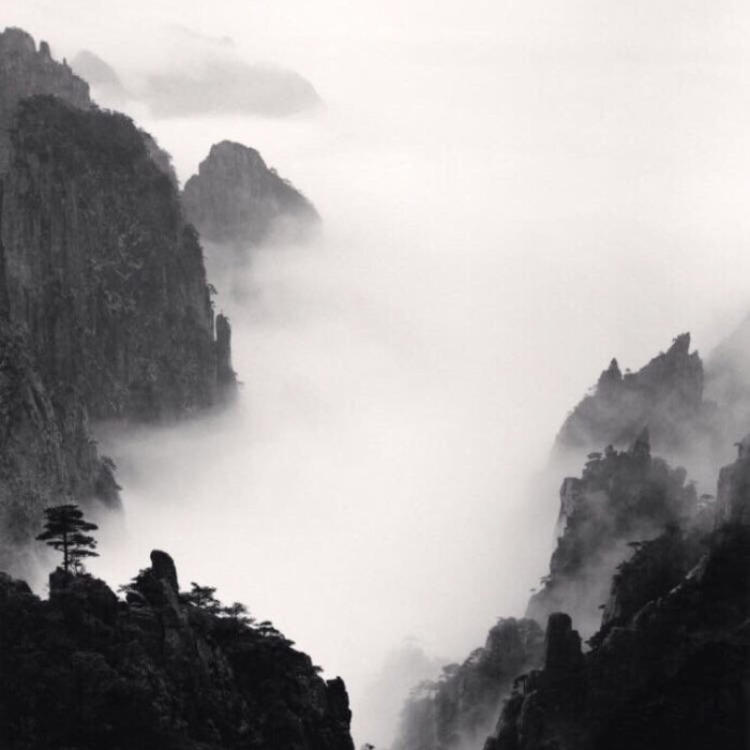 高久千草（饰 未知角色） - 院线新片抢先在线观看 - APP直播
